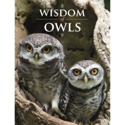 Wisdom of Owls