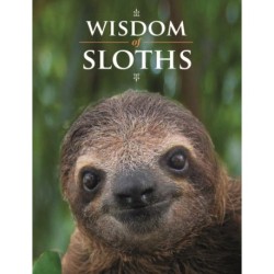 Wisdom of Sloths