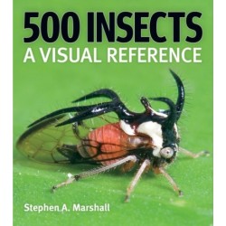 500 Insects: A Visual Reference