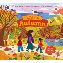 A Walk in Autumn: Lift the flaps to reveal the secrets of the season