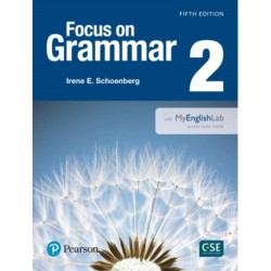 Focus on Grammar 2