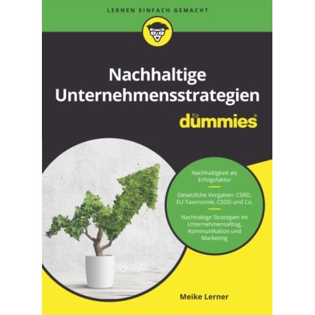 Nachhaltige Unternehmensstrategien fur Dummies