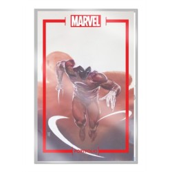 The Marvel Portfolio of Alex Maleev: The Marvel Universe