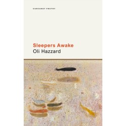 Sleepers Awake