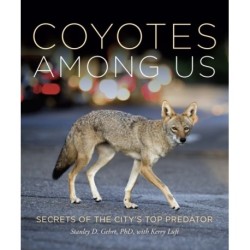 Living With Coyotes: Understanding the Ghost Dogs of Urban America