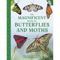 The Magnificent Book of Butterflies and Moths