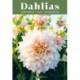 Dahlias: Inspiration, Cultivation and Care for 222 Varieties