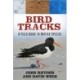 Bird Tracks: A Field Guide to British Species