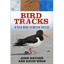 Bird Tracks: A Field Guide to British Species