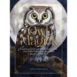 Owl Magick: Explore Our Fascinating Connections with These Birds Through Folklore and Magickal Traditions