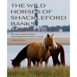 Wild Horses of Shackleford Banks