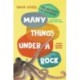 Many Things Under a Rock Young Readers Edition - The Mysteries of Octopuses: The Mysteries of Octopuses' Young Readers Edition