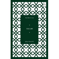 Key Ideas in Tax Law