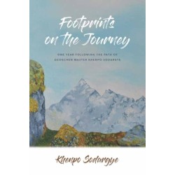 Footprints on the Journey: One Year Following the Path of Dzogchen Master Khenpo Sodargye