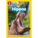 Hippos (National Geographic Kids Readers, Level 1)