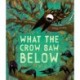What the Crow Saw Below