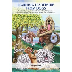 Learning Leadership from Dogs: What can Bulldogs, Dachshunds, Komondors, Pekingese and Otterhounds (among other dogs) teach us about effective leadership?