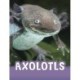 Axolotls