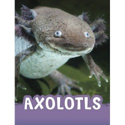 Axolotls