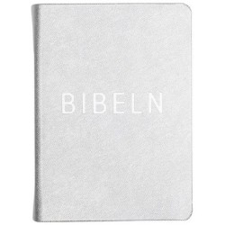 Bibeln : Bibelkommissionens översättning : noter, parallellhänvisning, uppslagsdel (silver)