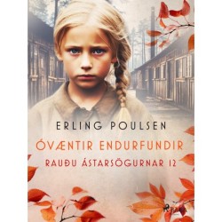 Óvæntir endurfundir (Rauðu ástarsögurnar 12)