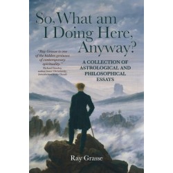 So, What Am I Doing Here, Anyway?