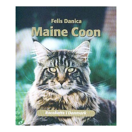 Maine Coon