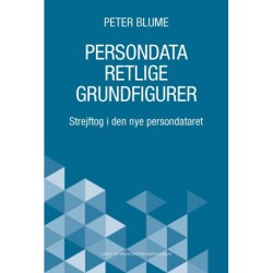 Persondataretlige grundfigurer: Strejftog i den nye persondataret