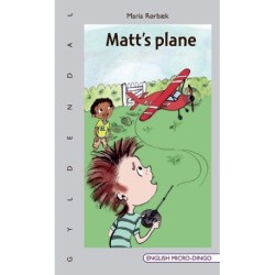 Matt's plane