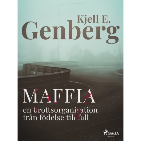 Maffia : en brottsorganisation från födelse till fall