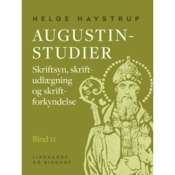 Augustin-studier. Bind 11. Skriftsyn, skriftudlægning og skriftforkyndelse