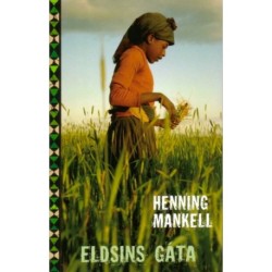 Eldsins gáta: Bók 2 um Sofíu í Mosambik