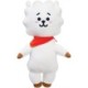BT21 RJ Plush Md