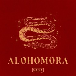 LUMOS: Edderkopper (Hemmelighedernes Kammer -15)