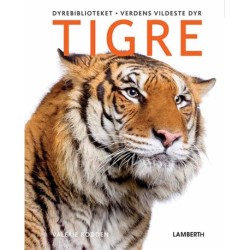 Verdens vildeste dyr - Tigre