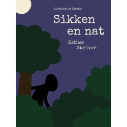 Sikke en nat