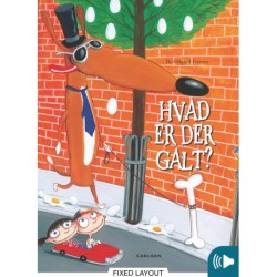 Hvad er der galt?