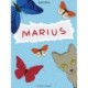 Marius