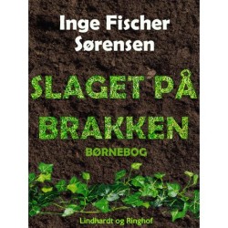 Slaget på Brakken
