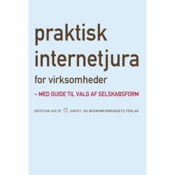 Praktisk internetjura for virksomheder: – med guide til valg af selskabsform