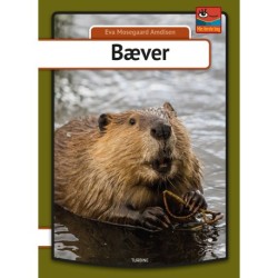 Bæver