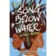 A Song Below Water: A Novel