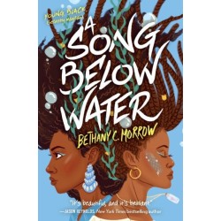 A Song Below Water: A Novel