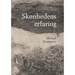 Skønhedens erfaring: Studier i filosofisk æstetik