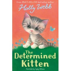 The The Determined Kitten