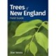 Trees of New England Field Guide
