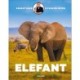 Sebastians dyrebibliotek: Elefant