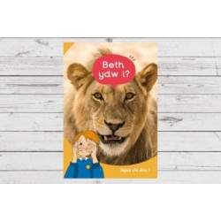 Dyna Chi Dric: Beth Ydw I?