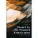 Shaped by the Nuanced Constitution: A Critique of Common Law Constitutional Rights