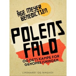 Polens fald og dets kampe for genoprejsningen